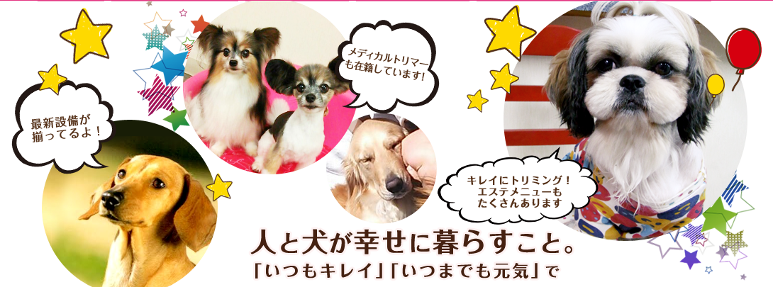 人と犬が幸せに暮らすこと。いつもキレイ、いつまでも元気で